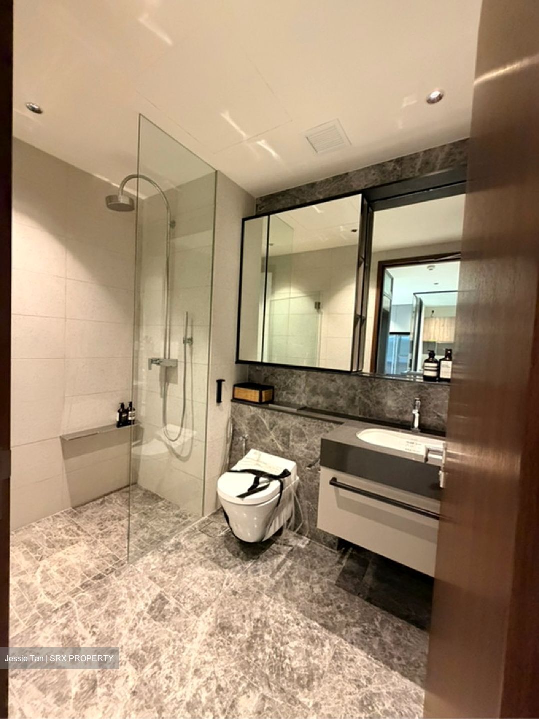 Parksuites (D10), Apartment #580731481